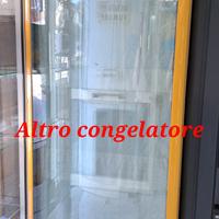 congelatore 