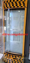 congelatore 