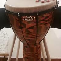 Djembe REMO 14", Paulo Mattioli signature