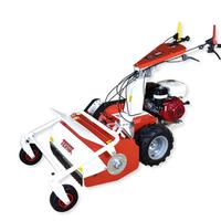TRINCIAERBA TEKNA TT 80 - HONDA GX 390 DA MONTARE 