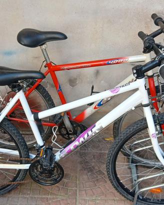 Bicicletta
