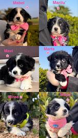 Una famiglia per loro