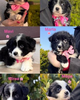 Una famiglia per loro