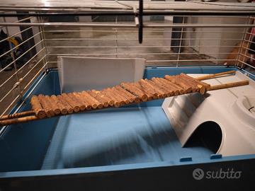 Gabbia per roditori.