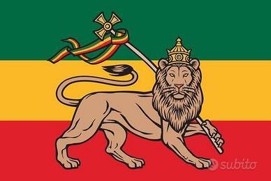 Dischi Vinili Reggae Roots Ragga Dancehall Music
