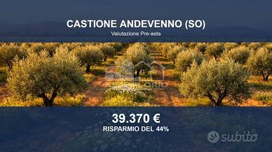 Immobile in asta di 3000 m² a Castione Andevenno