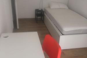 Camera singola per ragazza zona viale San Marco