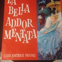 2 libri casa editrice piccoli favole