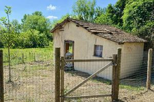Rustico / Casale di 5500 m² a Trevignano Romano