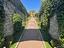 Immagine 11