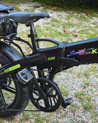 bici elettrica 