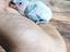 Immagine 1