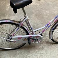 Bicicletta olandese