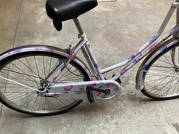 Bicicletta olandese