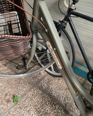Bici da donna vicini - 6 velocità con cestino