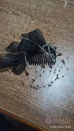 ferma capelli per donne 