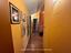 Immagine 11