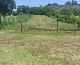 Terreno agricolo + edificabile