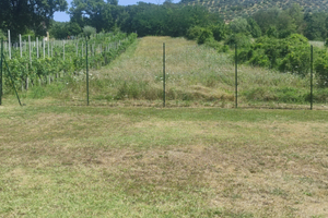 Terreno agricolo + edificabile
