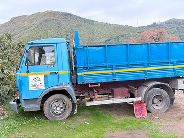 Camion 60.10