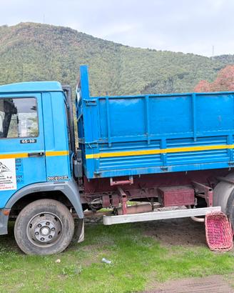 Camion 60.10