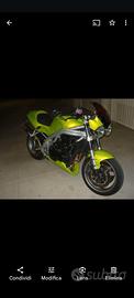 Triumph speed triple 955i