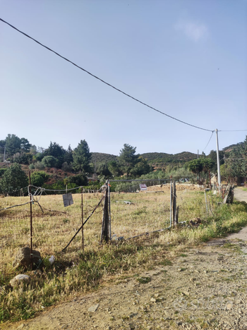 Terreno agricolo zona Solemins Monte Arrubiu