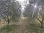 Immagine 28