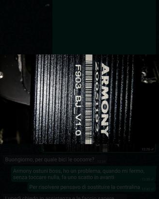 Armony centralina ebike