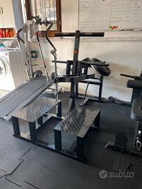 belt squat home gym