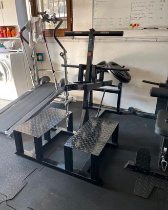 belt squat home gym