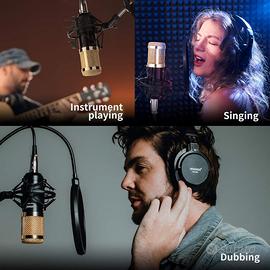 Microfono a Condensatore Professionale