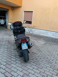  T max