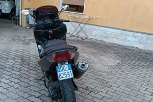  T max