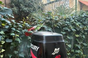Motore Mercury 40/50