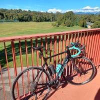 Bici da corsa Bianchi Sprint