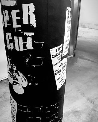 Sacco da boxe