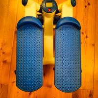 Step twister stepper