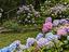 Immagine 24