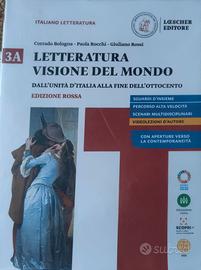 libro letteratura visione del mondo 