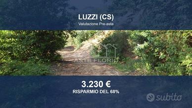 Immobile in asta di 5430 m² a Luzzi
