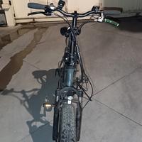 bici elettrica 250w i bike