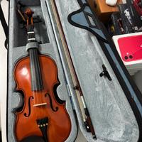 violino domus musica