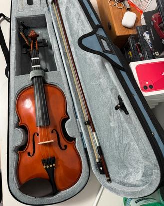 violino domus musica