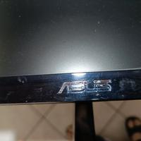 Asus Monitor