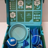 Set accessori per cani