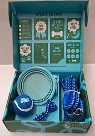 Set accessori per cani