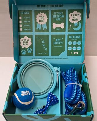 Set accessori per cani