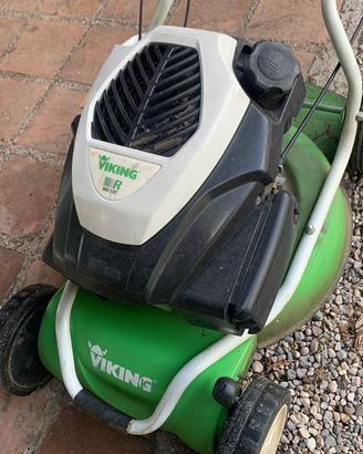Taglierba viking