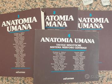 Anatomia Umana edi ermes+ Atlante Netter